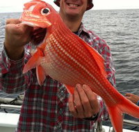 Goin' Off Safaris - C Tourism