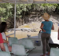 Whitsunday Crocodile Safari - C Tourism