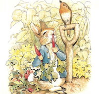 Mount Isa Civic Centre - C Tourism