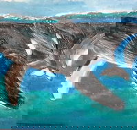 Kaz Art-Whitewash Gallery - C Tourism