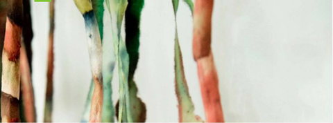 Watch This Space - C Tourism 1