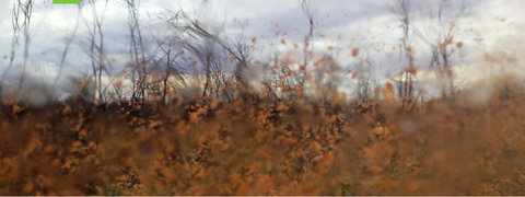 Watch This Space - C Tourism 2