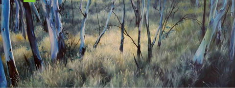 Watch This Space - C Tourism 3