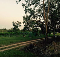Brierley Wines - C Tourism
