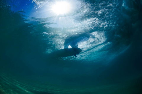 Ocean Art Gallery & Cafe - C Tourism 4