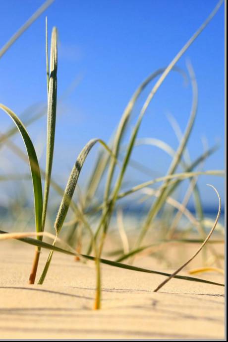 Coastal Visions Photography - C Tourism 1