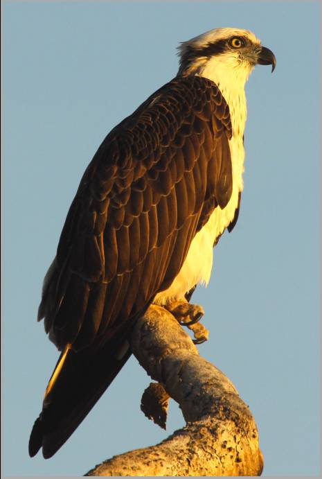 Coastal Visions Photography - C Tourism 2