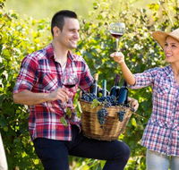 Two Tails Wines - C Tourism