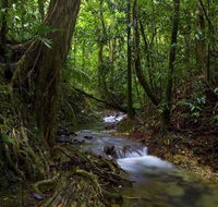 Trek North - C Tourism