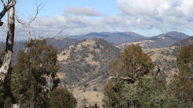 Paddys River NSW C Tourism