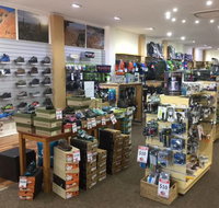 Lone Dingo - C Tourism