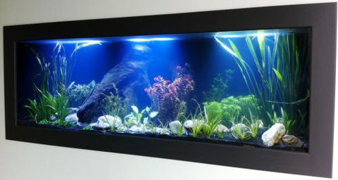 Aquariums In Cairns - C Tourism 0