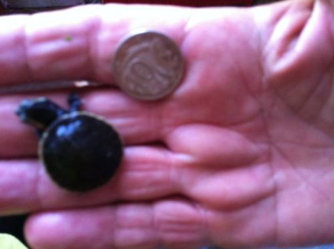 Hurley’s Aquariums - C Tourism 0