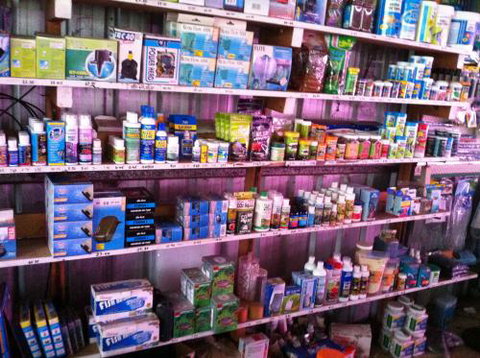 Hurley’s Aquariums - C Tourism 1