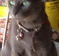 Pets and Saddles - C Tourism