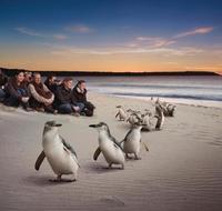 Down Under Thrills - C Tourism