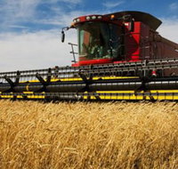 Quirindi Grain and produce - C Tourism