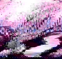 Pink Forest - Boardwalk Bar 4.00-6.00pm - C Tourism