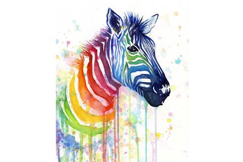Rainbow Zebra - 65 Northbourne 7.30-9.30pm - C Tourism 0