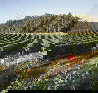 Margaret River Caves Wine and Cape Leeuwin Lighthouse Tour from Perth - C Tourism