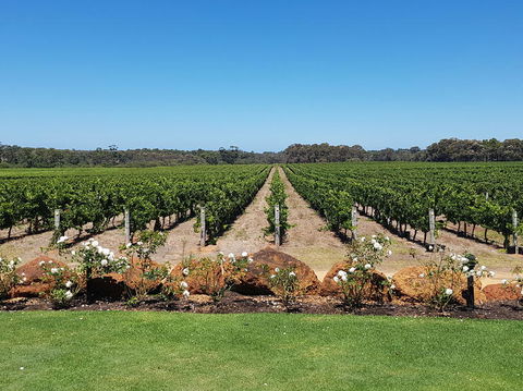 Margaret River Food, Wine & Sightseeing Tour From Perth - C Tourism 5