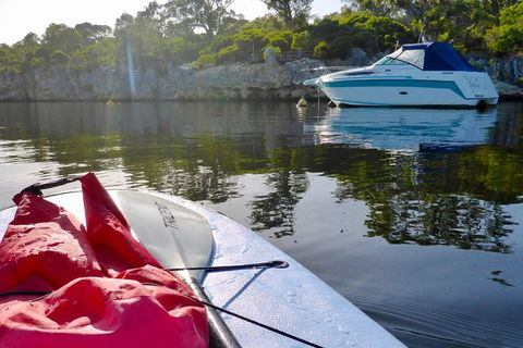 Perth Stand Up Paddle Hire - C Tourism 0