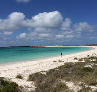 Abrolhos Island Half Day Fly and Flipper - C Tourism