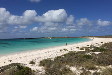 Abrolhos Island Half Day Fly And Flipper - C Tourism 0