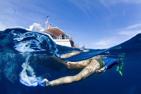 VIP Luxury Chartered Escapes, Exploring The Reef At Your Own Pace - C Tourism 40