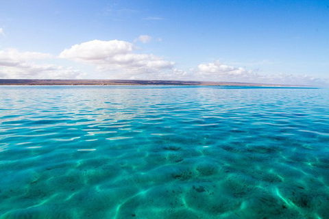 VIP Luxury Chartered Escapes, Exploring The Reef At Your Own Pace - C Tourism 32