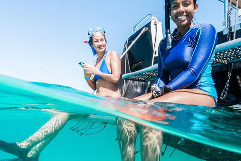 VIP Luxury Chartered Escapes, Exploring The Reef At Your Own Pace - C Tourism 24