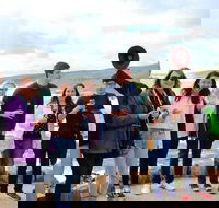 Margaret River Wine and Sights Discovery Tour from Busselton or Dunsborough - C Tourism