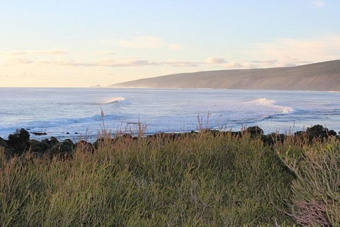 Margaret River Indulge And Discover Day Tour - C Tourism 1