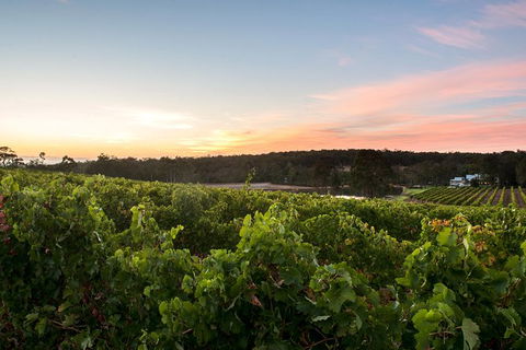 Margaret River Indulge And Discover Day Tour - C Tourism 5