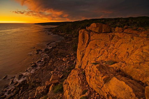 Margaret River Indulge And Discover Day Tour - C Tourism 13