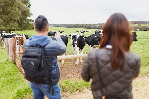 Margaret River Indulge And Discover Day Tour - C Tourism 14