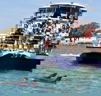 Mandurah Dolphin and Scenic Marine Cruise - C Tourism