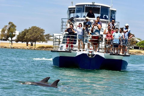 Mandurah Dolphin And Scenic Marine Cruise - C Tourism 2