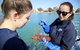 Mandurah Dolphin And Scenic Marine Cruise - thumb 8