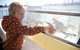 Mandurah Dolphin And Scenic Marine Cruise - thumb 5