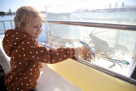 Mandurah Dolphin And Scenic Marine Cruise - C Tourism 5