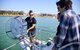 Mandurah Dolphin And Scenic Marine Cruise - thumb 16