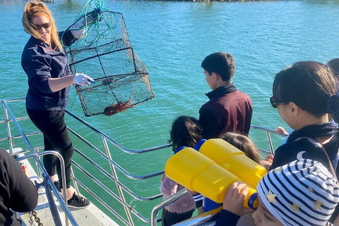 Mandurah Dolphin And Scenic Marine Cruise - C Tourism 18