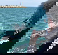 Mandurah Dolphin Island Adventure - C Tourism