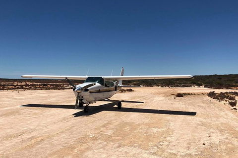 Kalbarri Gorges & West Coast - Ground & Air Tour - C Tourism 6