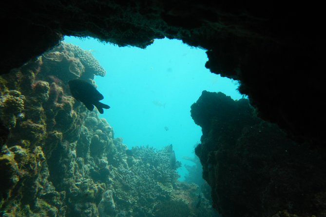Wonthella WA C Tourism