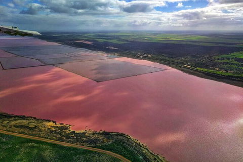 Kalbarri, Pink Lake And Abrolhos Islands Nature Tour - C Tourism 3