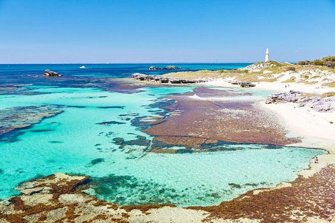 Rottnest Island Bayseeker Day Trip From Fremantle - C Tourism 0