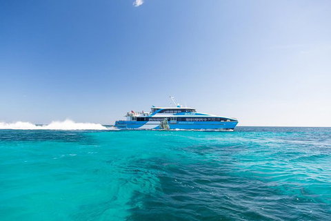 Rottnest Island Bayseeker Day Trip From Fremantle - C Tourism 1