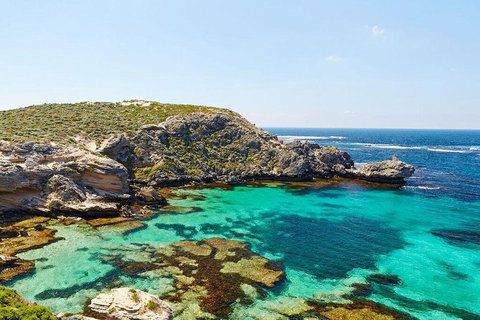 Rottnest Island Bayseeker Day Trip From Fremantle - C Tourism 3